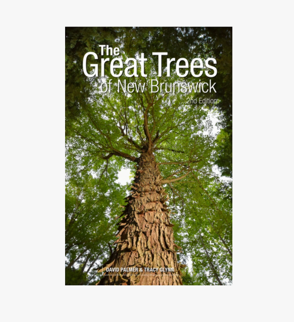 The Great Trees of New Brunswick 2nd Ed