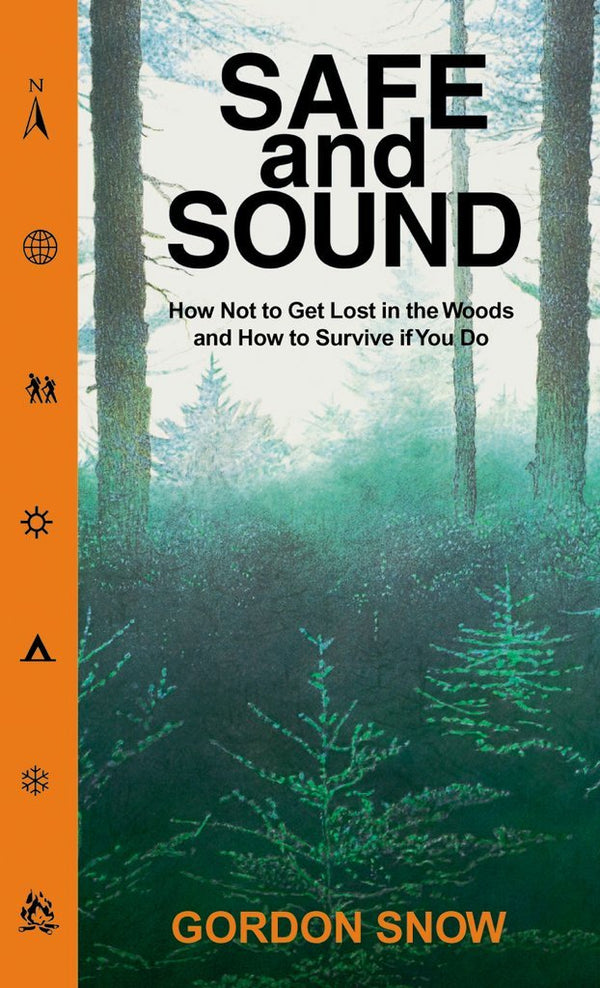 Safe And Sound Book