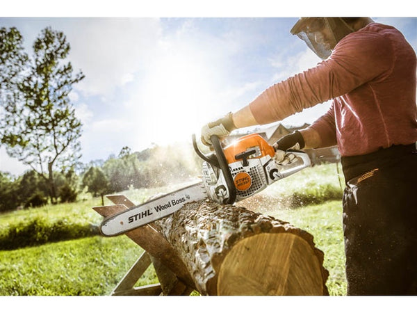MS251 Chainsaw